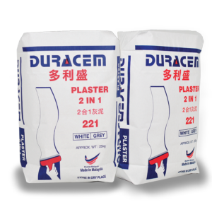 Plaster 2 in 1 (221)